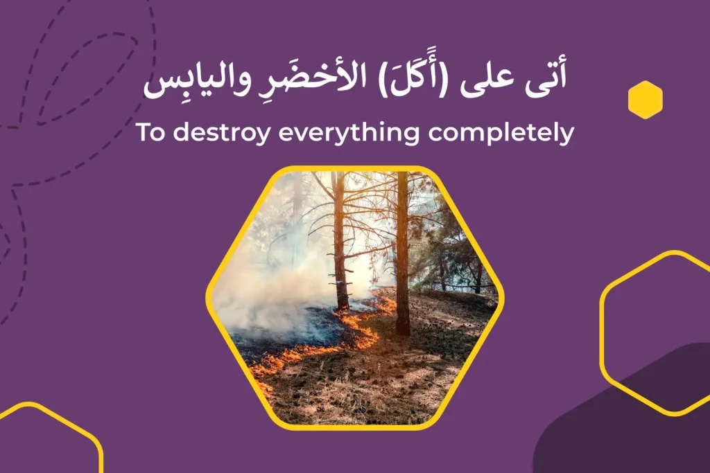 Arabic expression 1