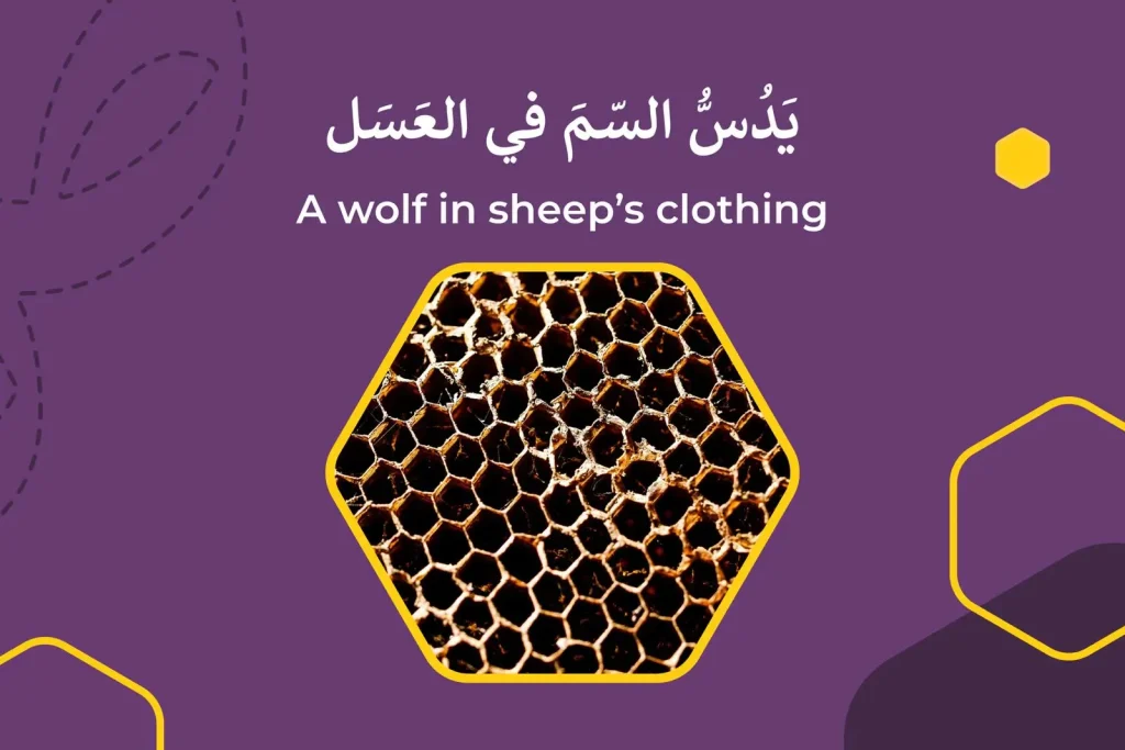 Arabic Expression 8
