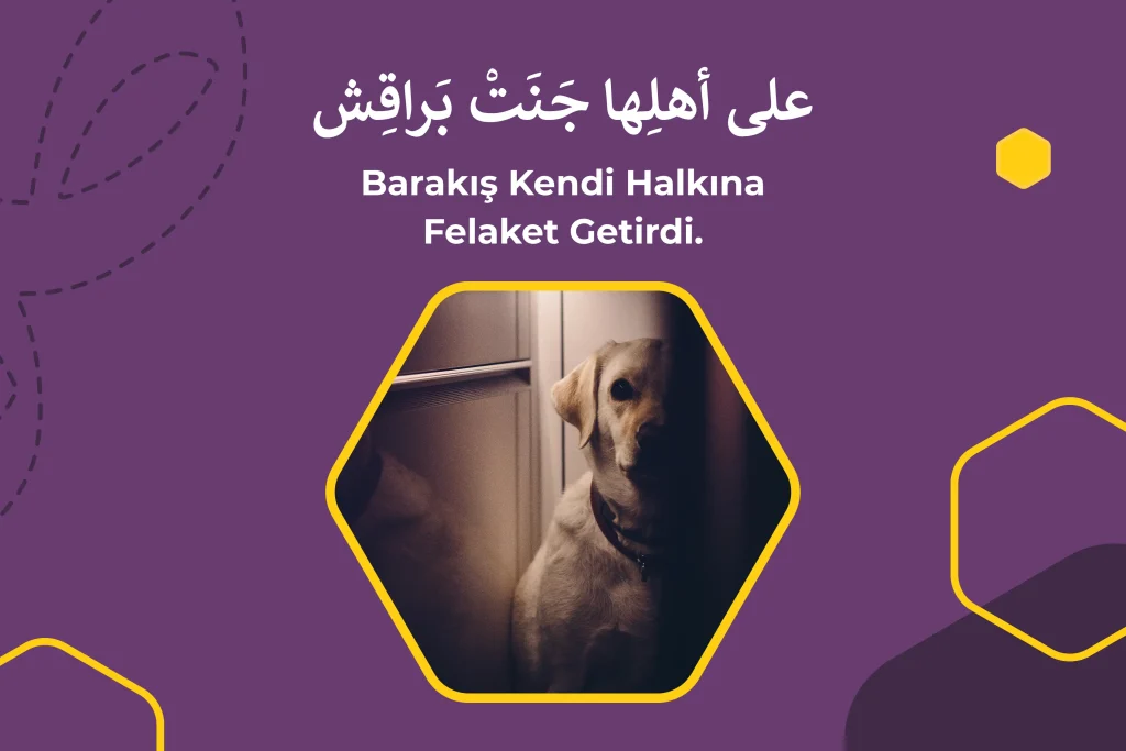 Barakış Kendi Halkına Felaket Getirdi