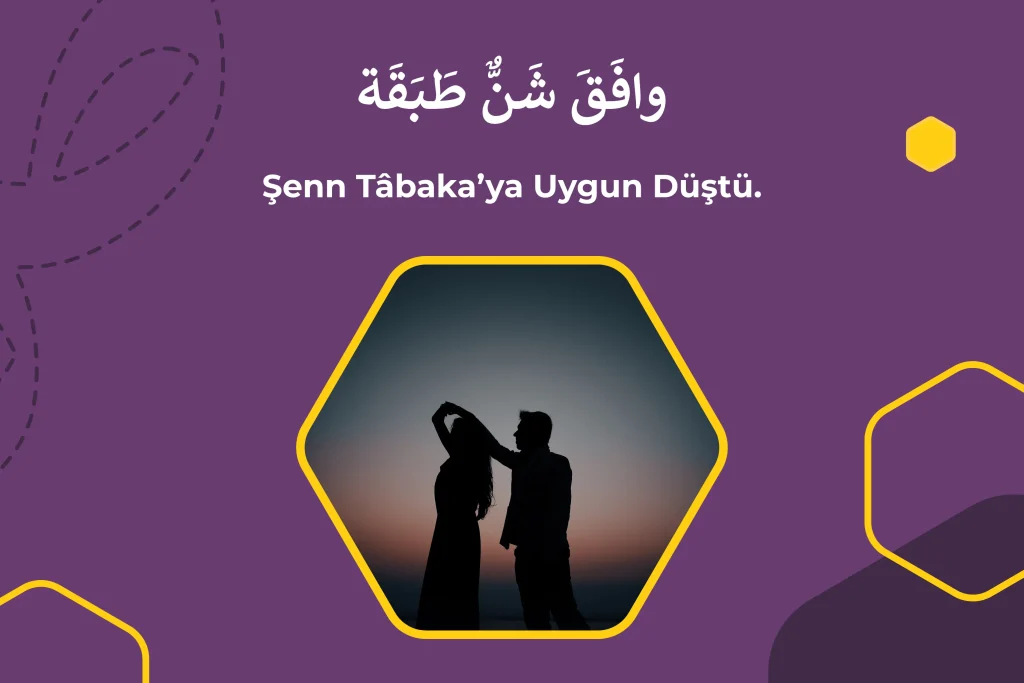 Şenn Tabakaya Uygun Düştü