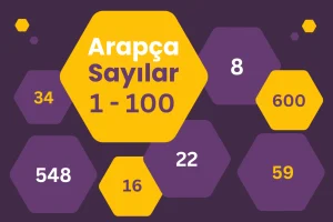 Arapça sayılar