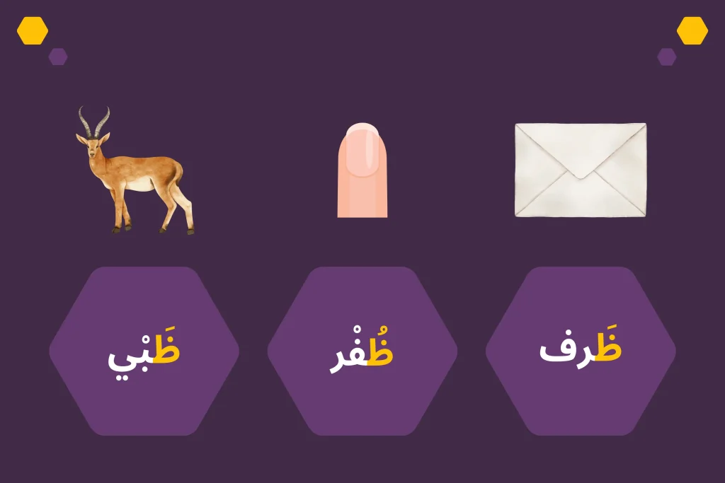 Learn the Arabic letter ظ (Zhaa’) | Alifbee Blog