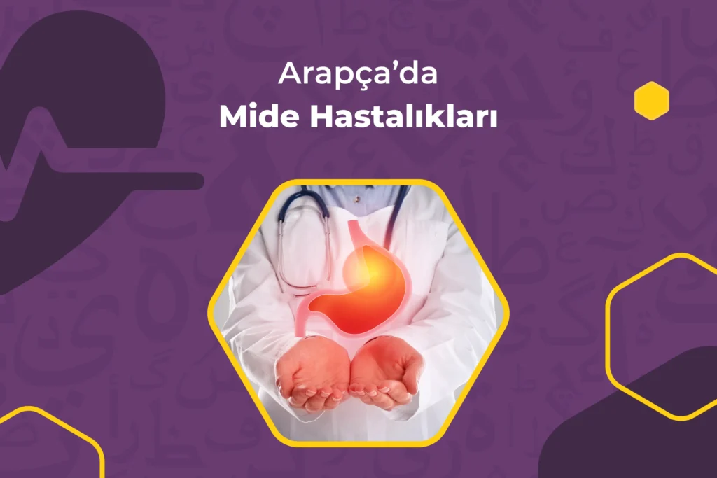 Arapcada Mide Hastaliklari 1