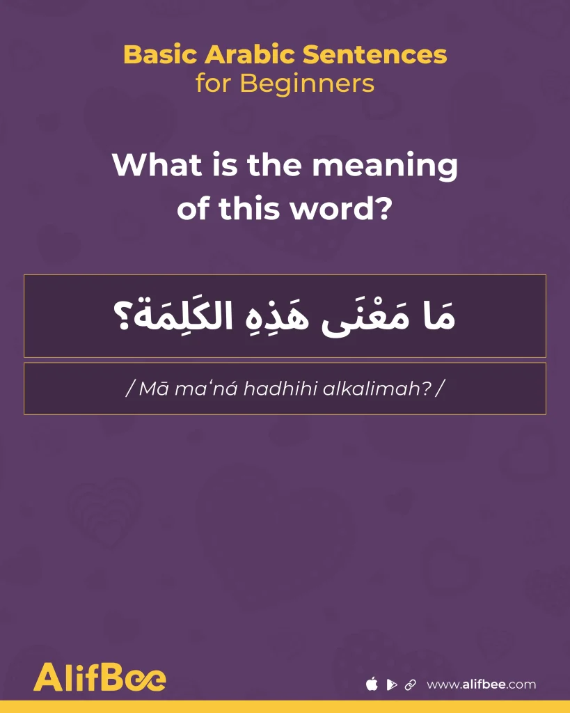 Basic Arabic Sentences-7