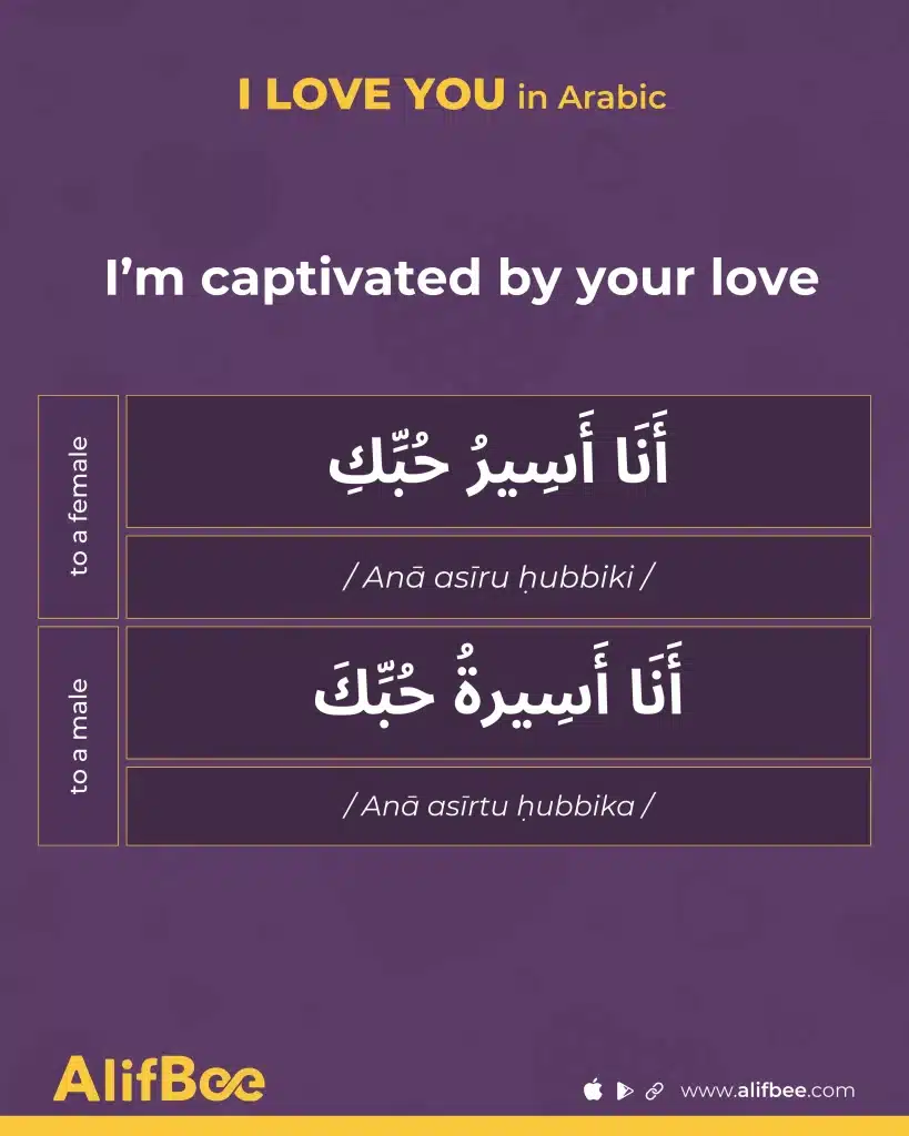 I Love You in Arabic-7