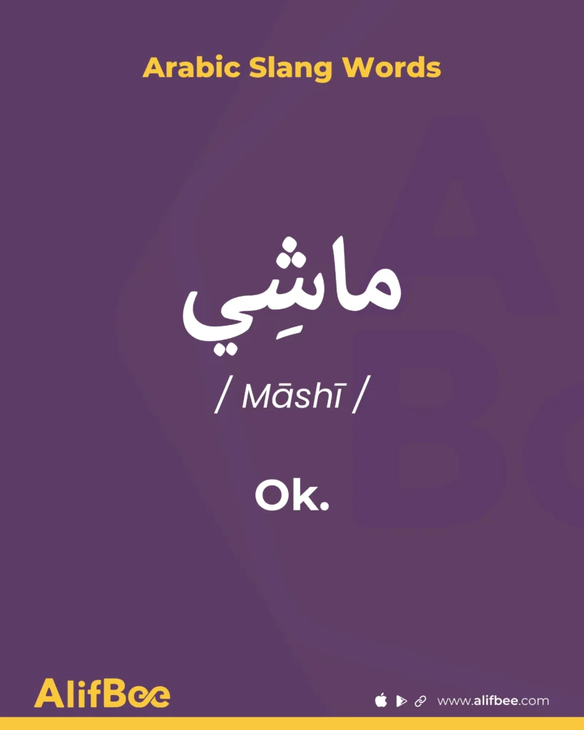 10 Most Common Arabic Slang Words and Expressions 7 Ok