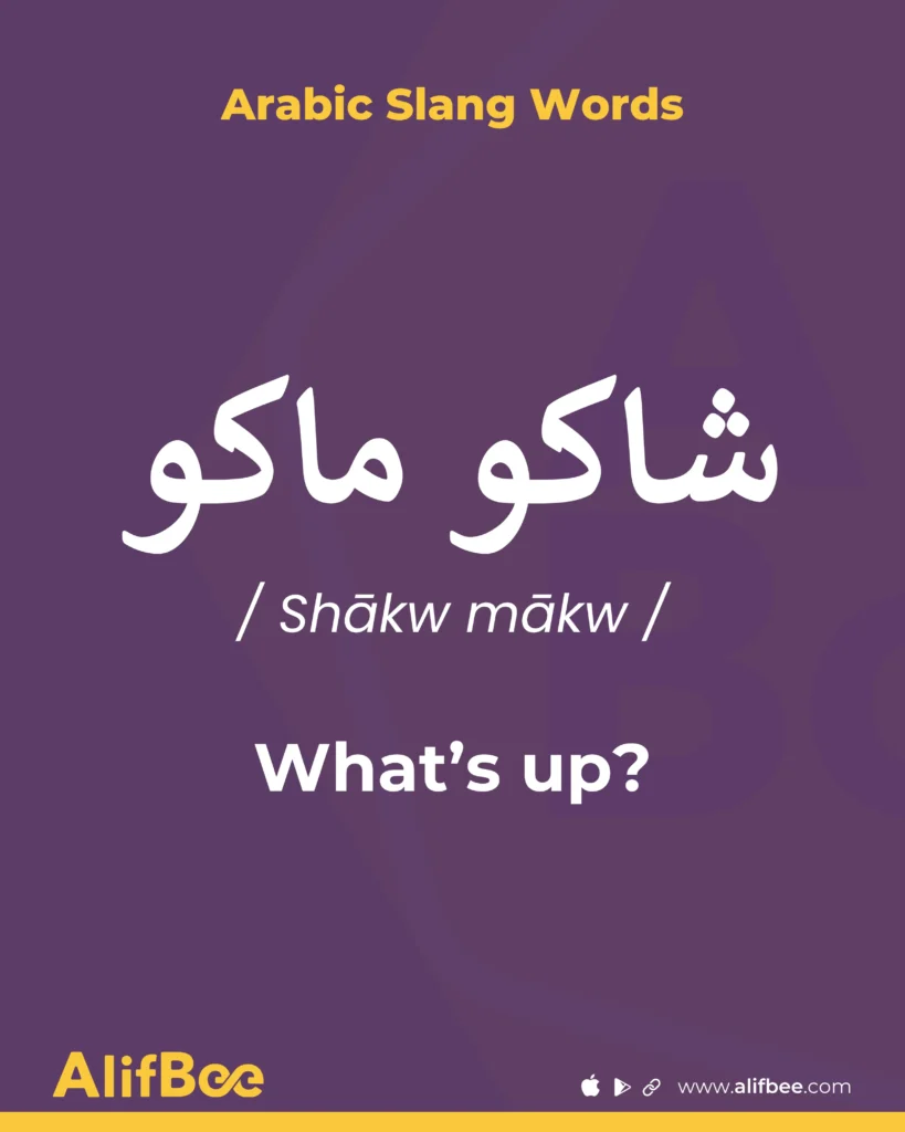 10 Most Common Arabic Slang Words and Expressions 10 Whats up