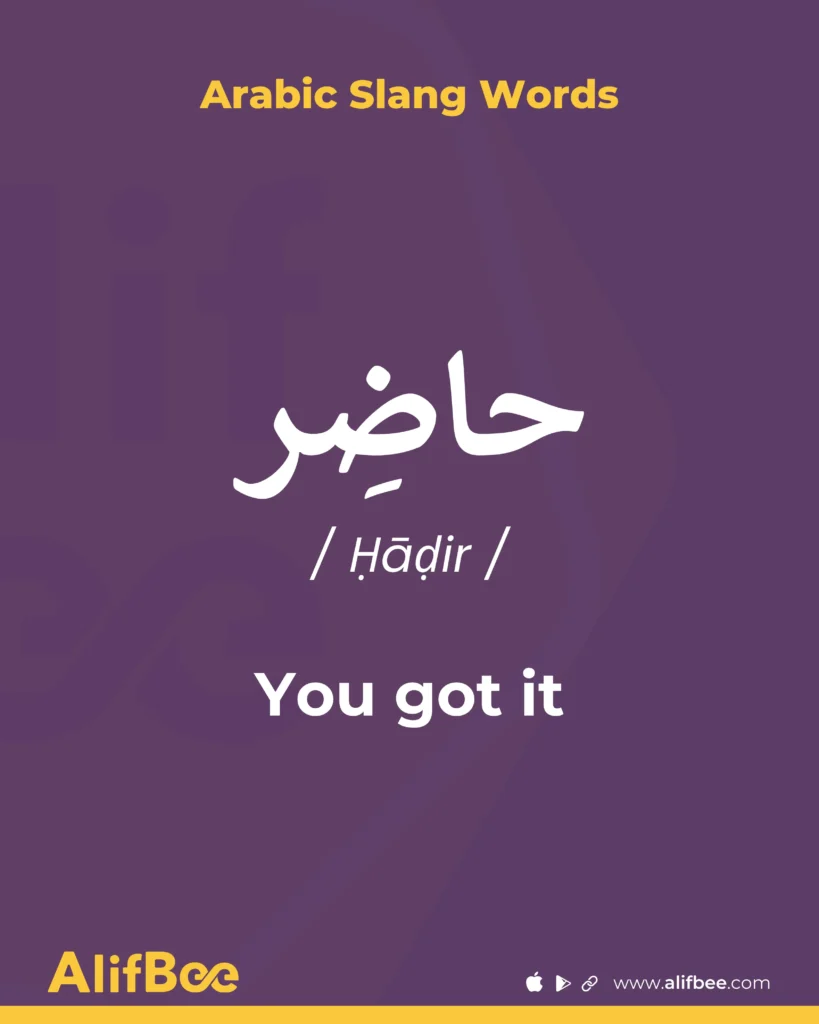 10 Most Common Arabic Slang Words and Expressions 11 You got it
