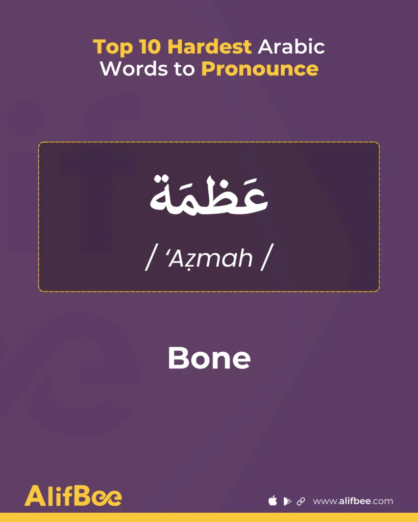 Top 10 Hardest Arabic Words to Pronounce 8 bone