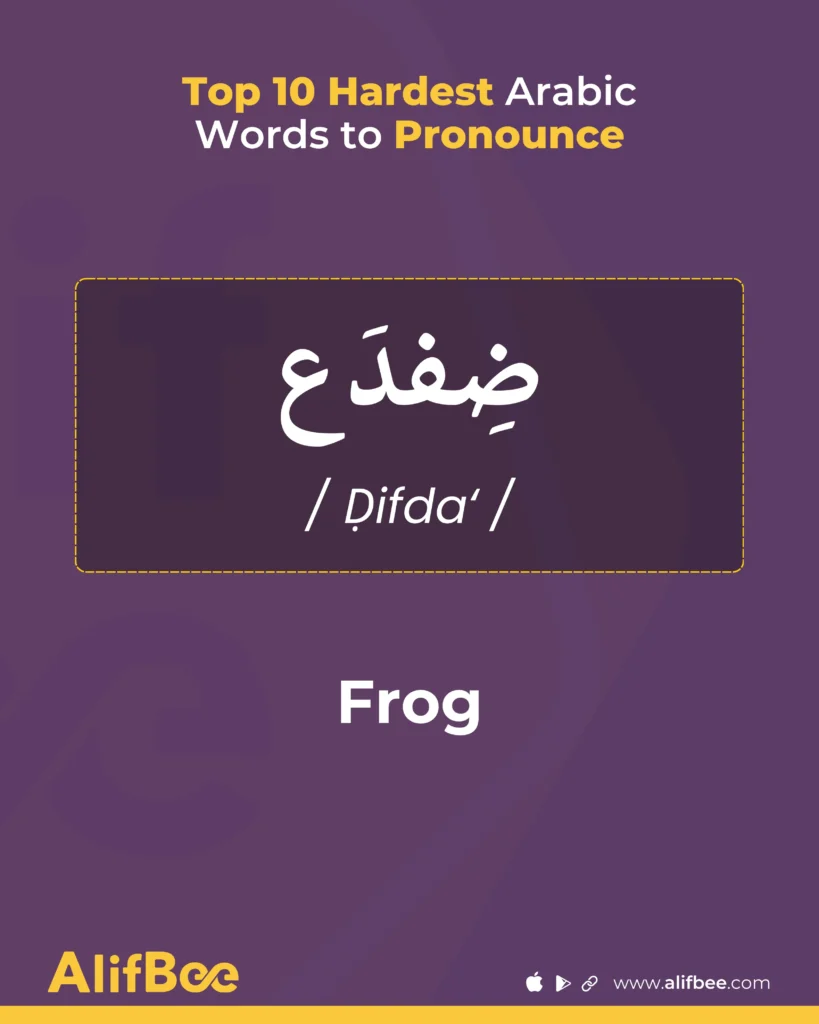 Top 10 Hardest Arabic Words to Pronounce 12 frog