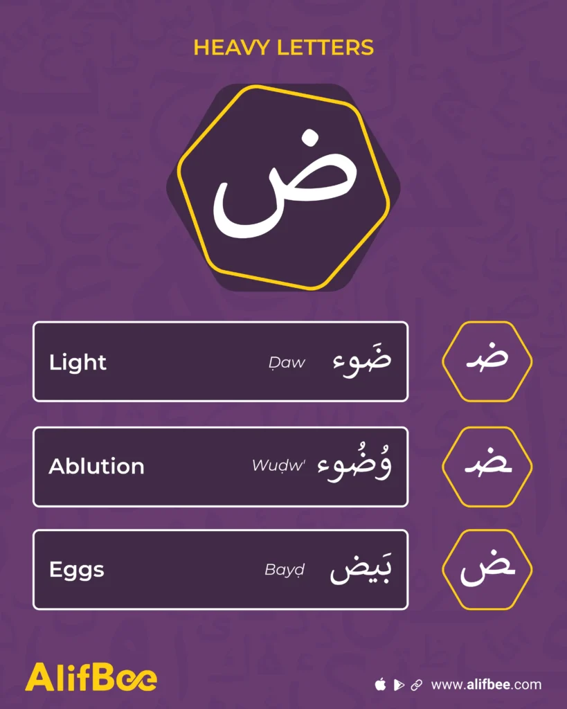Letter ض from Heavy letters in Arabic