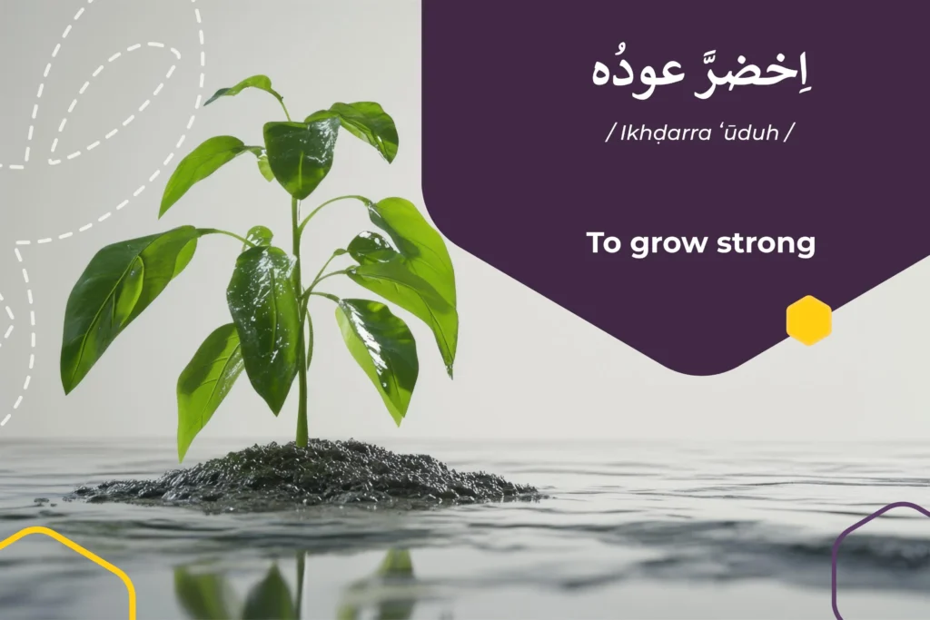 To grow strong