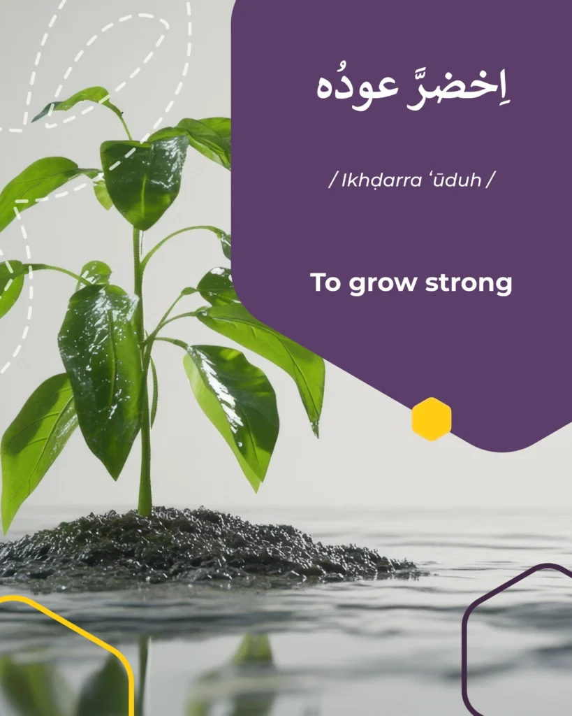 To grow strong