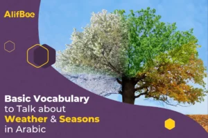 basic-vocabulary-to-talk-about-weather-and-seasons-in-arabic