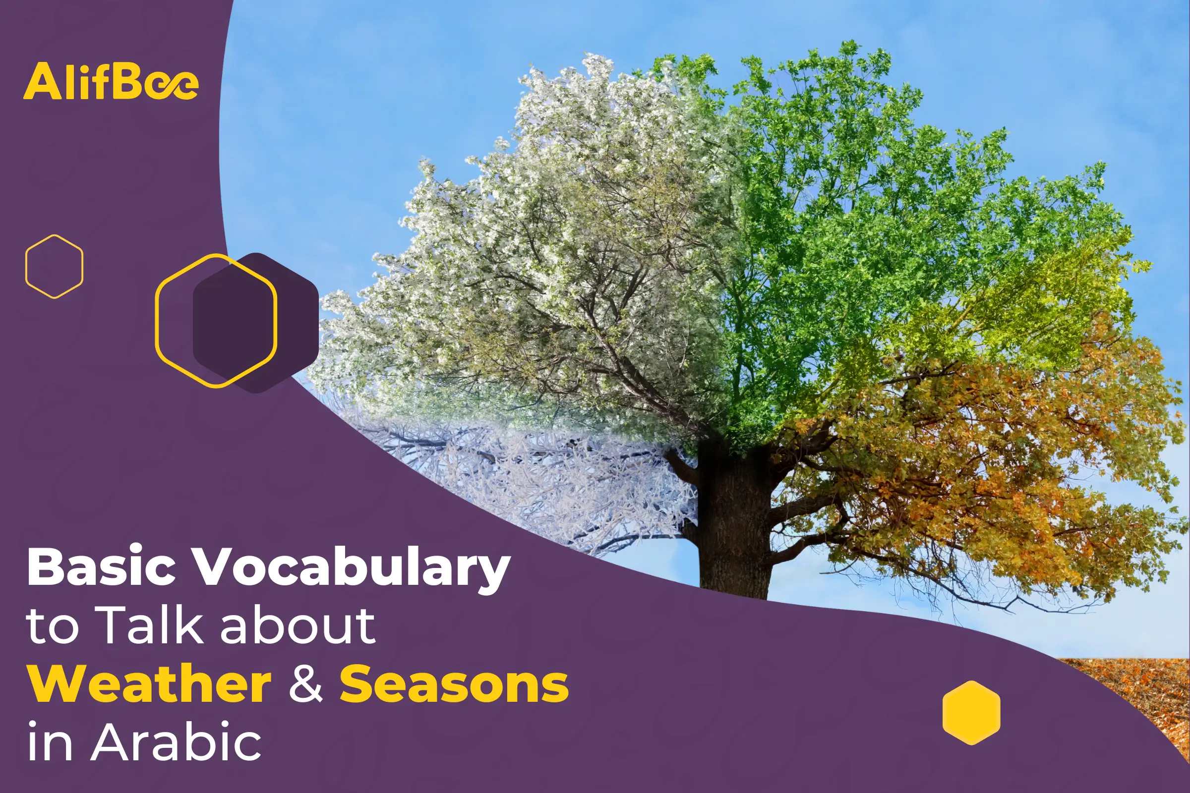 basic-vocabulary-to-talk-about-weather-and-seasons-in-arabic