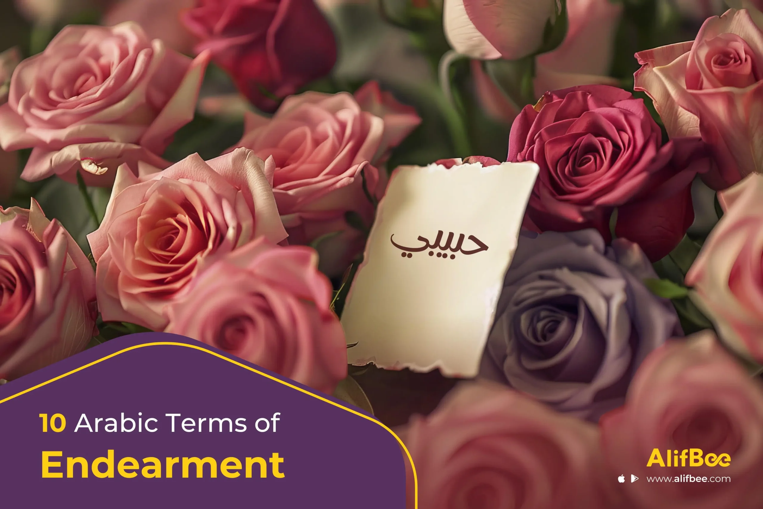 10 arabic terms of endearment