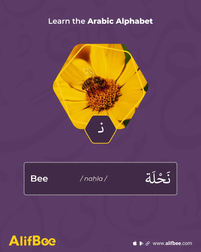 Learn the Arabic Letter Noon (ن): Form, Pronunciation and Examples