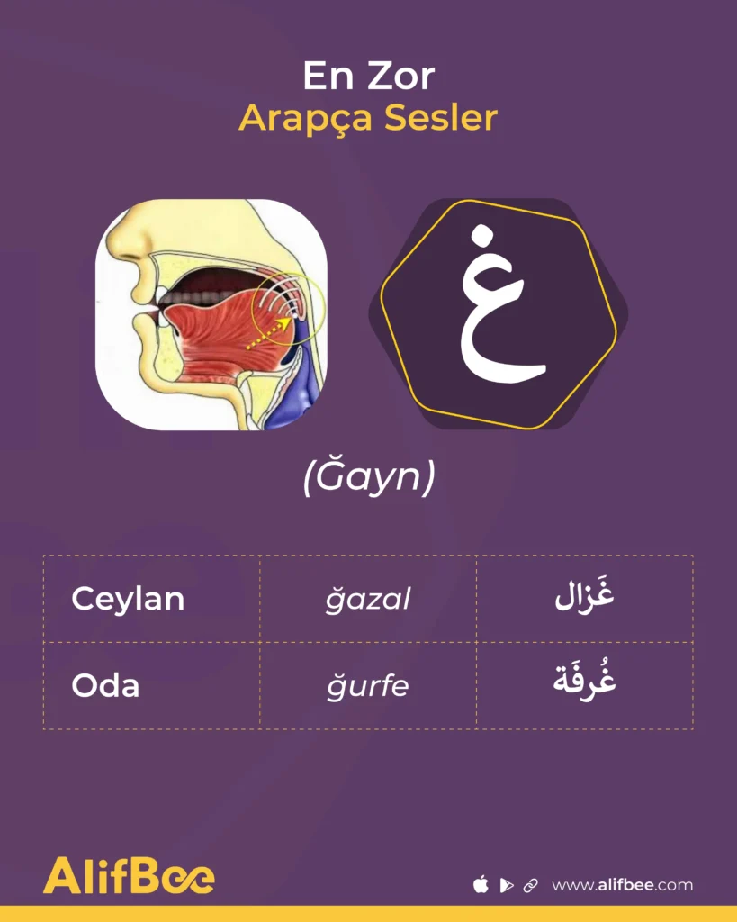 ğayn