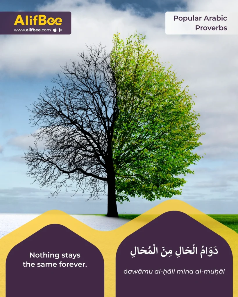 popular-arabic-proverbs-1