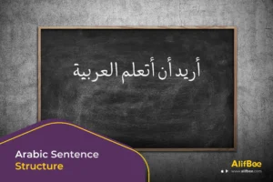 Arabic Sentence Structure