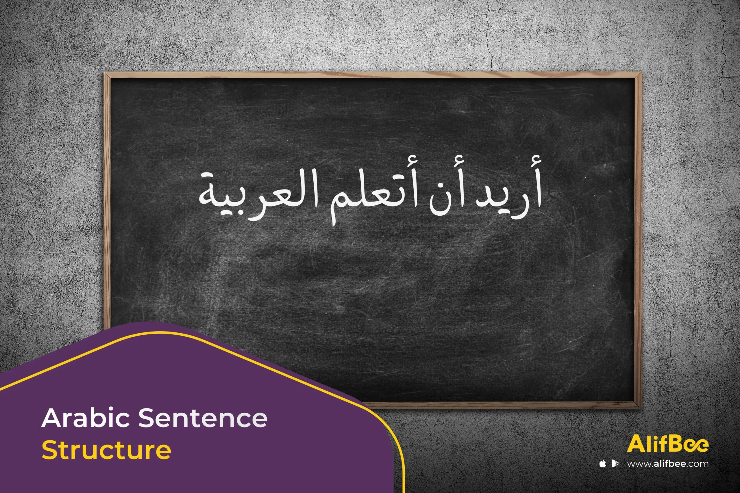Arabic Sentence Structure