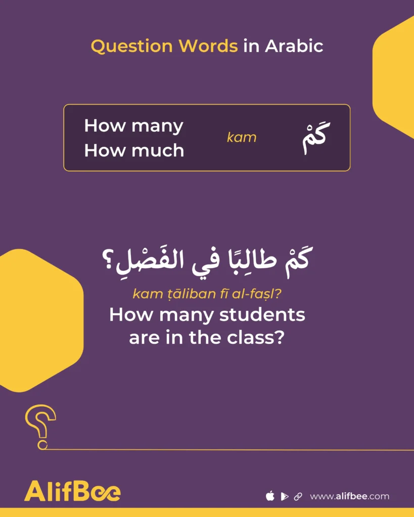 7 - how much - how many