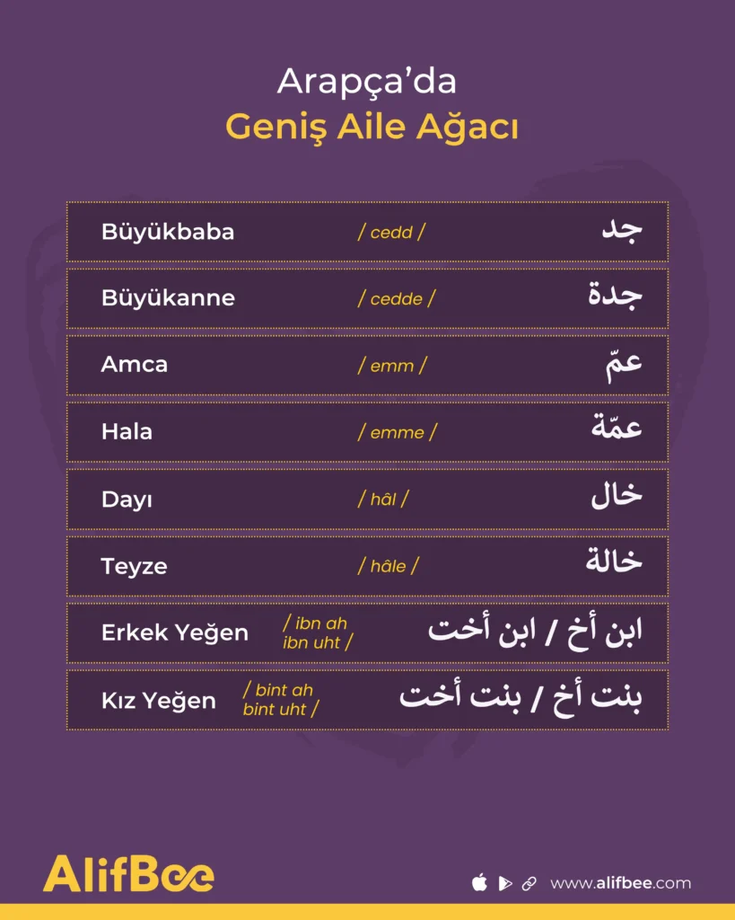 Arapçada Geniş Aile Ağacı