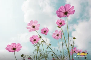 Top 25 Noms de Fleurs en Arabe – Un Guide des Plus Belles Fleurs en Arabe