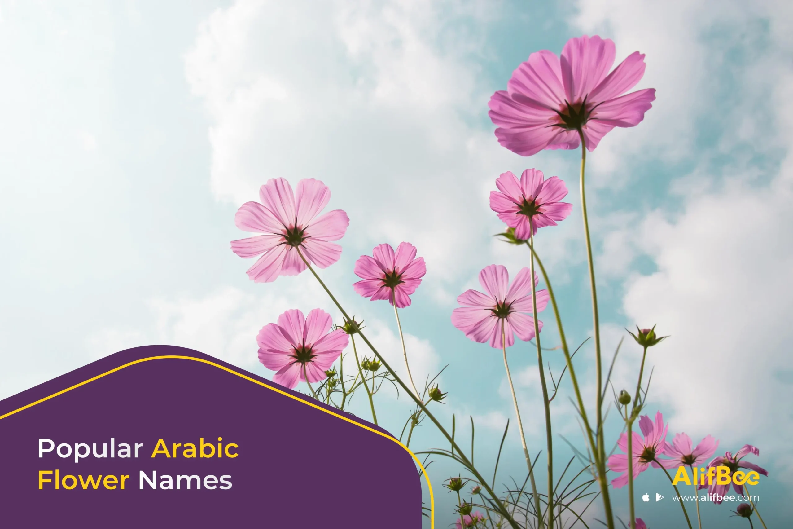Arabic Flower Names