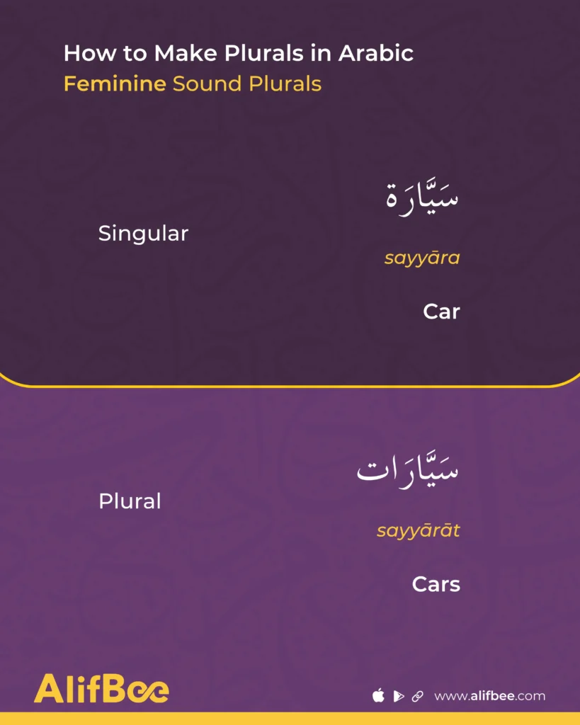 Arabic Plurals 2