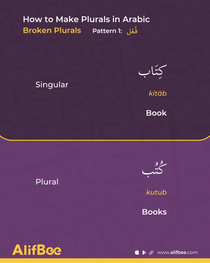 Arabic Plurals 3