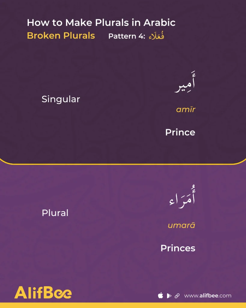 Arabic Plurals 6