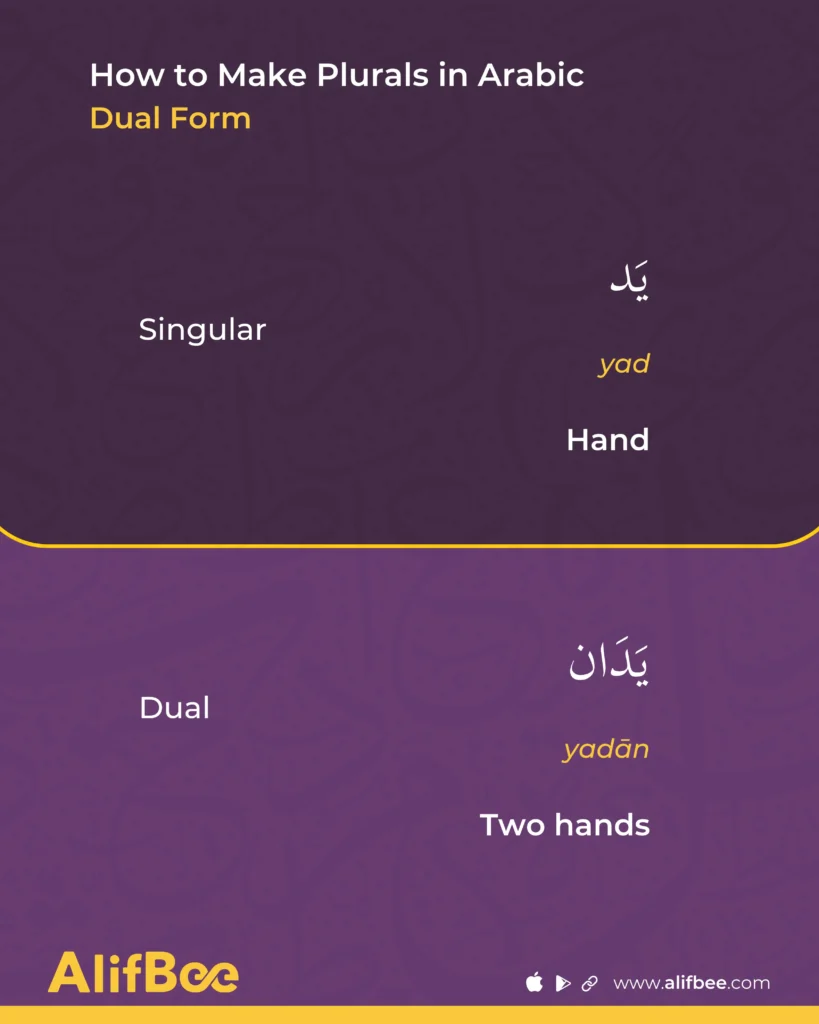 Arabic Plurals 7