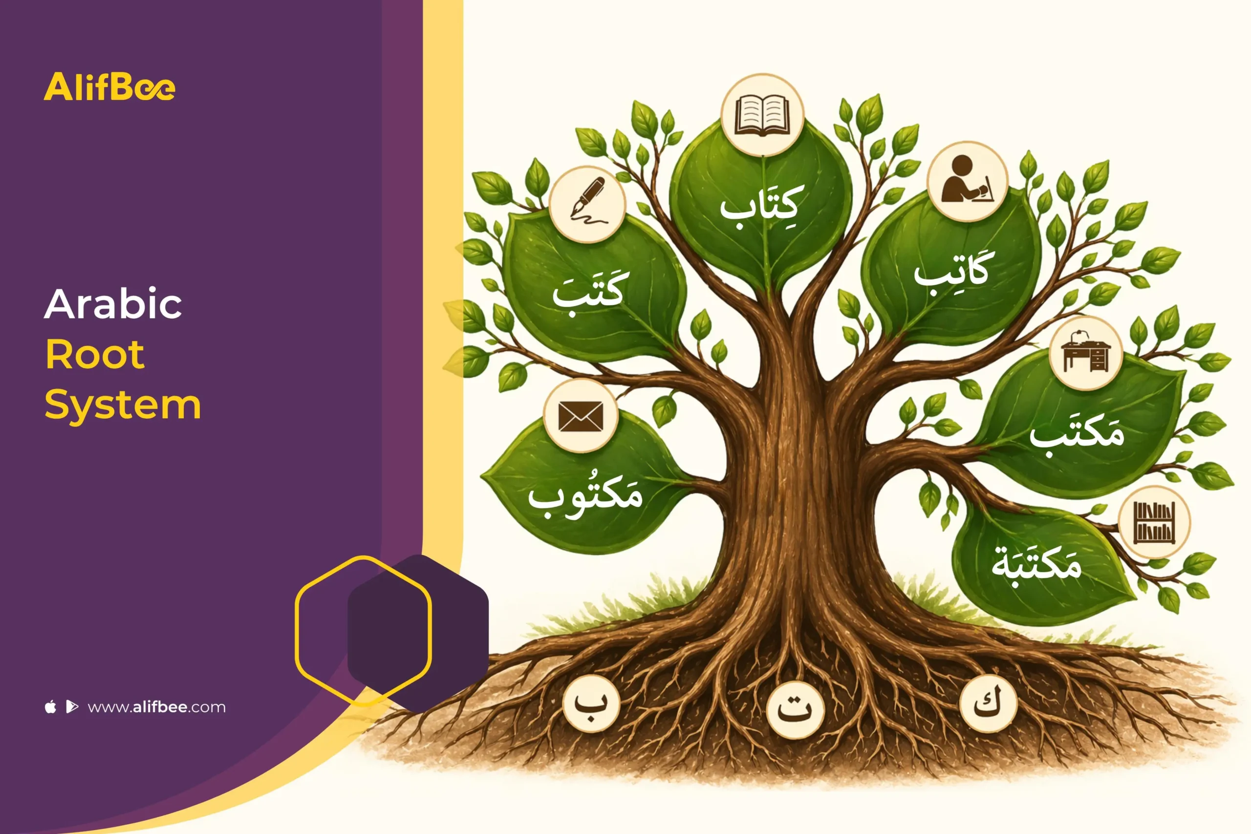 Arabic Root System