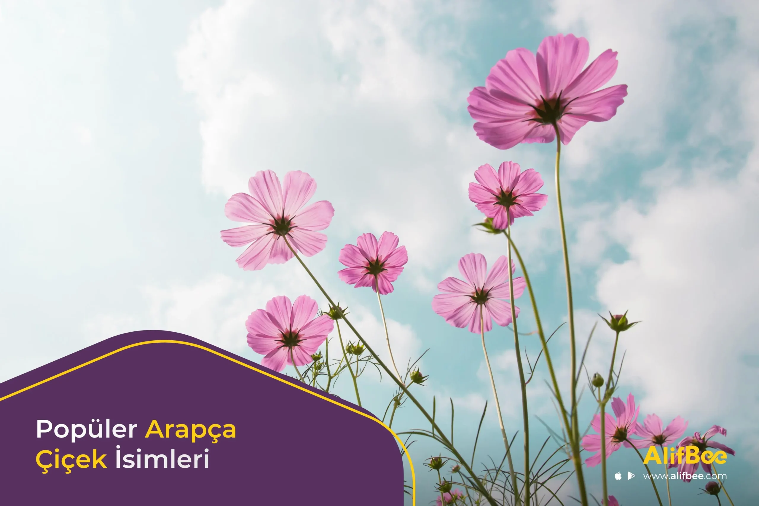 Popüler Arapça Çiçek İsimleri