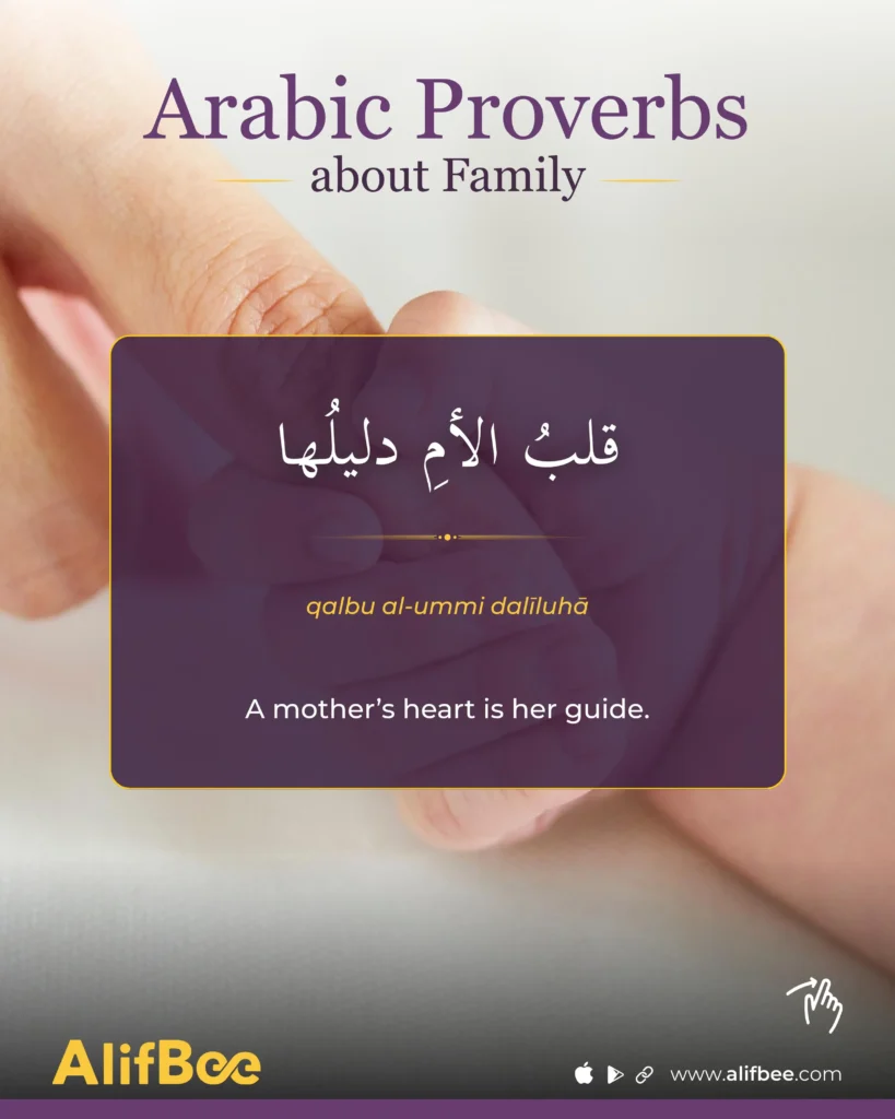 Arabic Proverbs about Family - 3