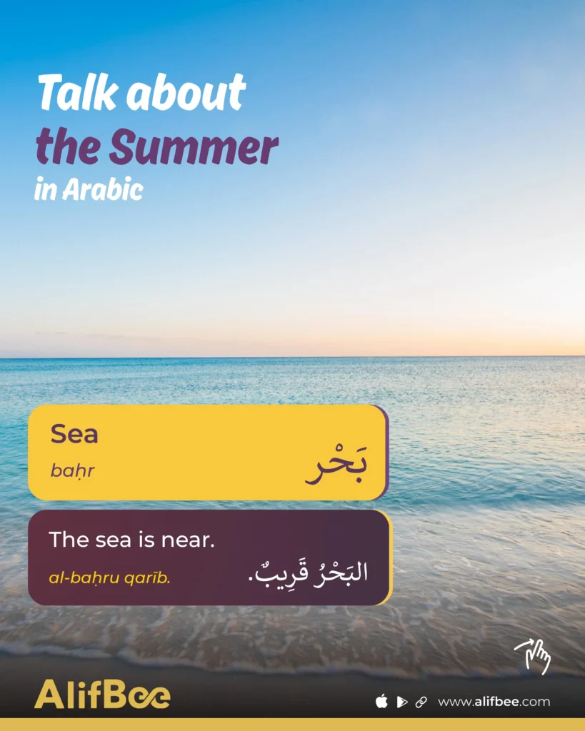 Summer Vocabulary in Arabic - 5