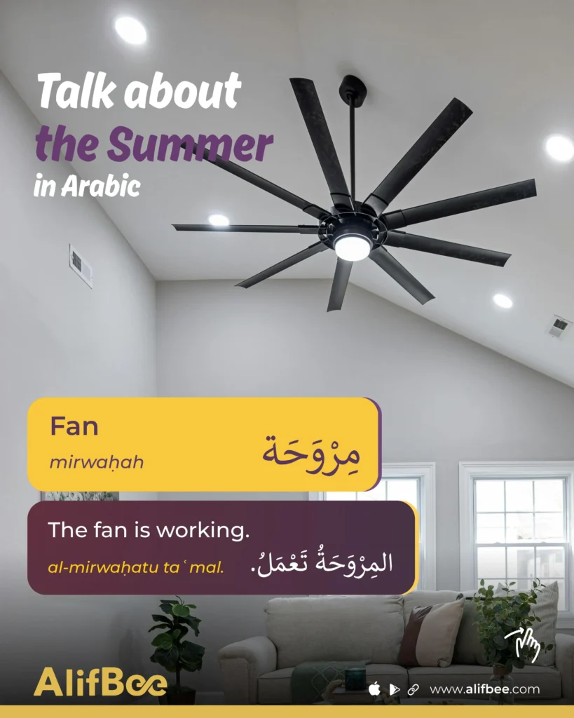Summer Vocabulary in Arabic - 6
