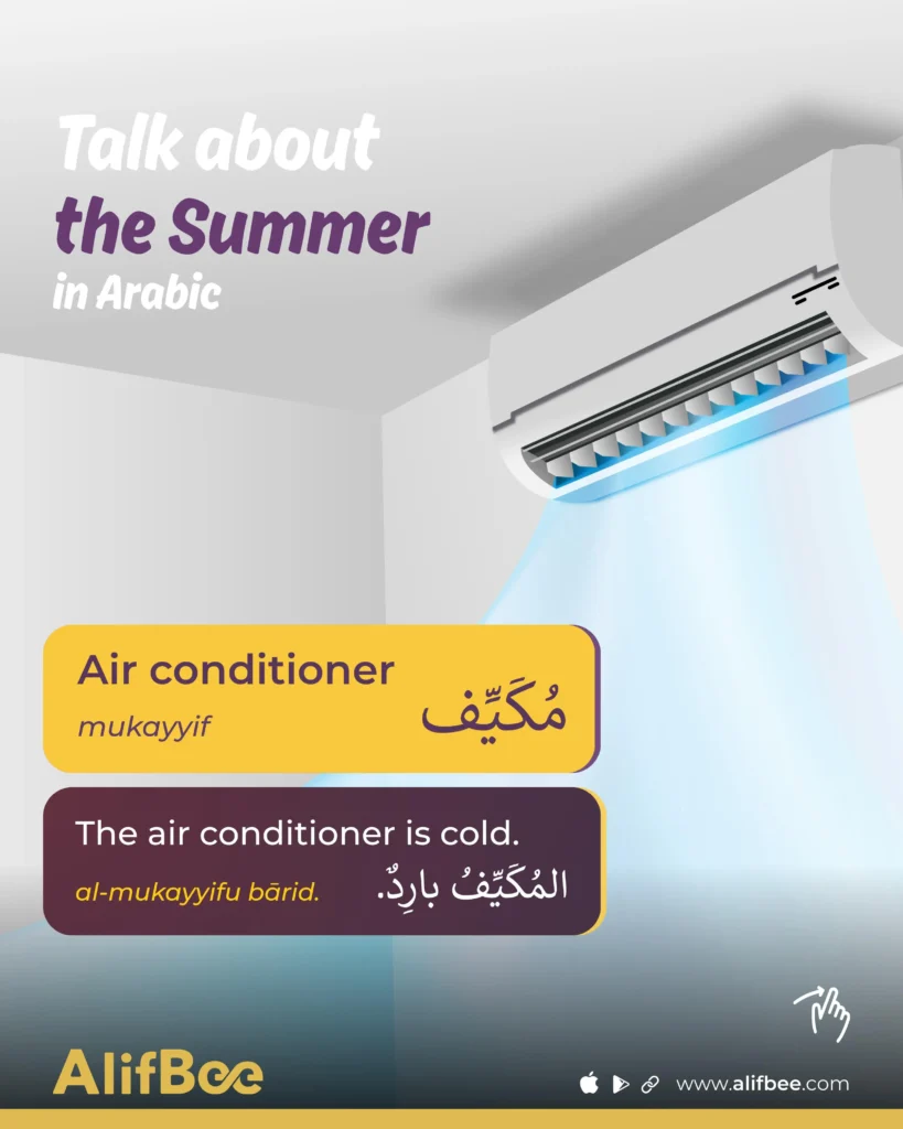 Summer Vocabulary in Arabic - 8