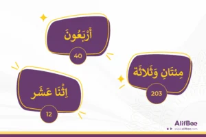 Arab sonlarini shakllantirish